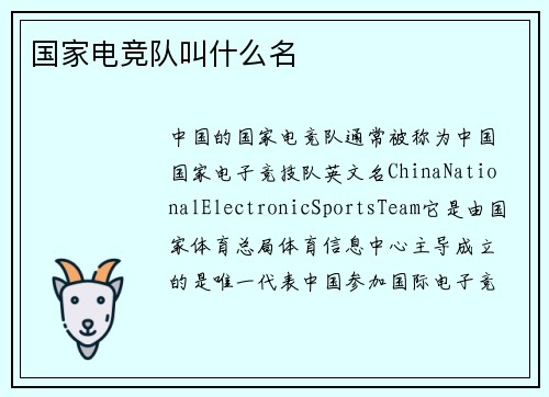 国家电竞队叫什么名